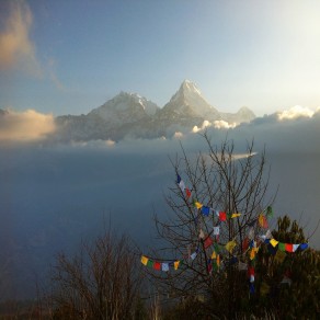 Annapurna Panorama Trek with Chitwan Jungle Safari